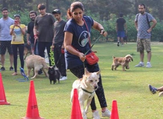 Pet Carnival in Kolkata