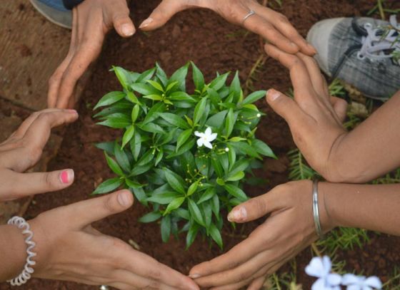 Greener Kolkata – Cleaner Kolkata