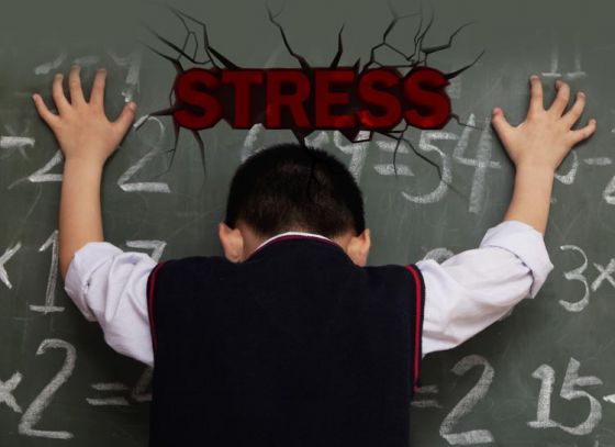 Stress Relievers in the course of assessment