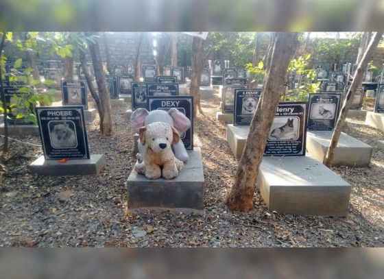 Crematorium for Pets coming up in Kolkata