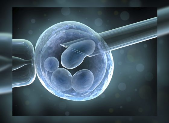 IVF: Pros and cons