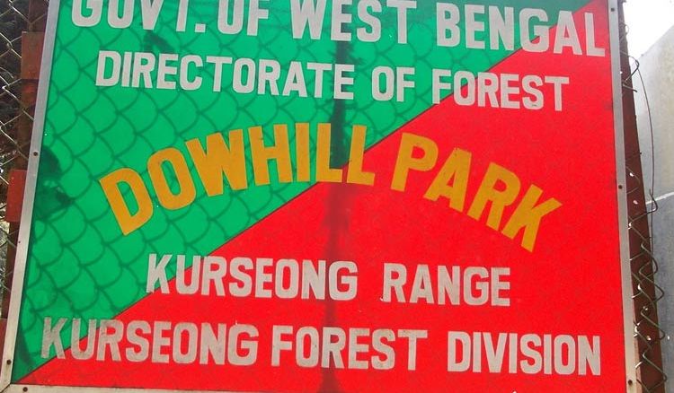 Forest department changes tradition