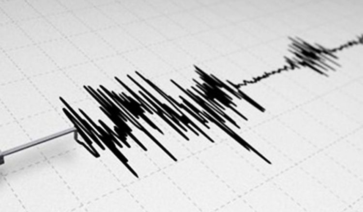 Magnitude 5 earthquake hits Bengal