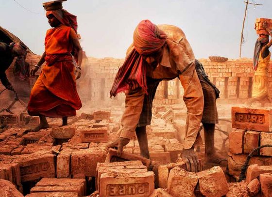 State government takes initiative for brick factory development