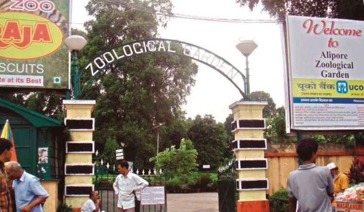 Change in Alipore zoo entry