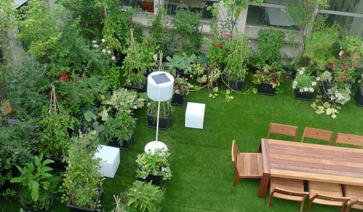 garden is being built on the roof of Booster Pumping Station