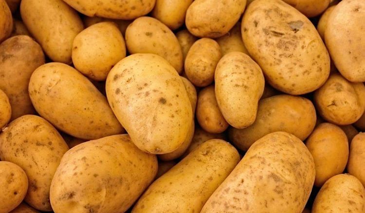 State Government will buy potatoes from potato farmer directly