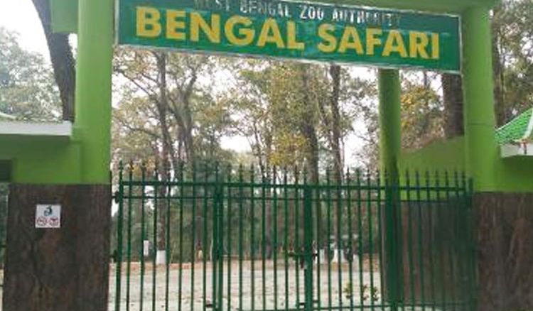 New toy train is ready to run in Bengal Safari Park