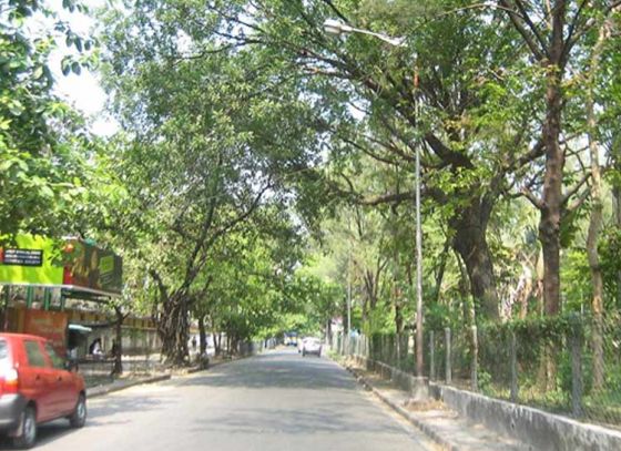 Sprinklers to be installed in Southern Avenue by KMC