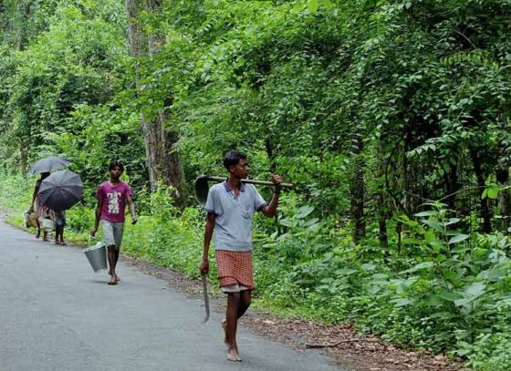 ভোটবুথে থাকছে বন দফতরের বিশেষ দল