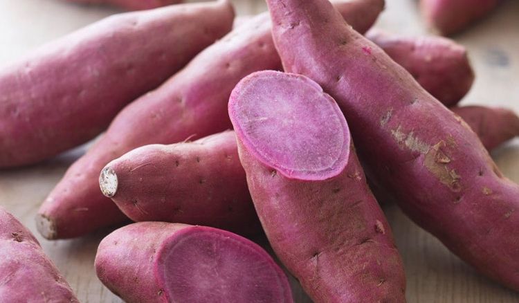 Now sweet potatoes can be harvested in riversides