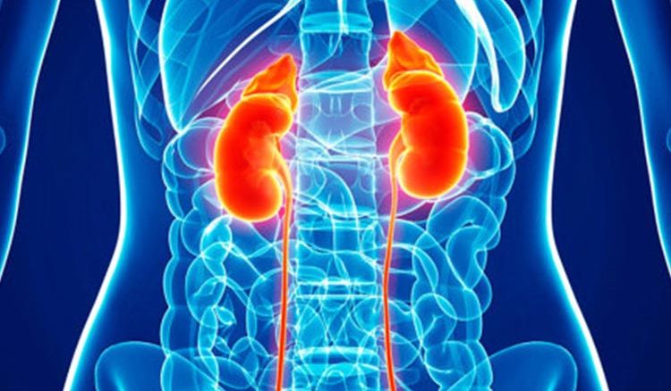 How to keep your kidney healthy