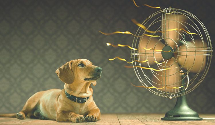 How to cool down room temperature without an AC