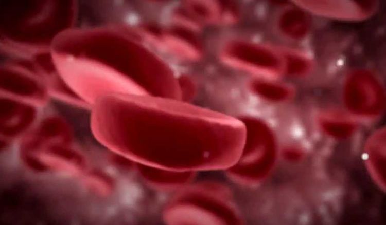 A new type of protein has been discovered to cure blood cancer