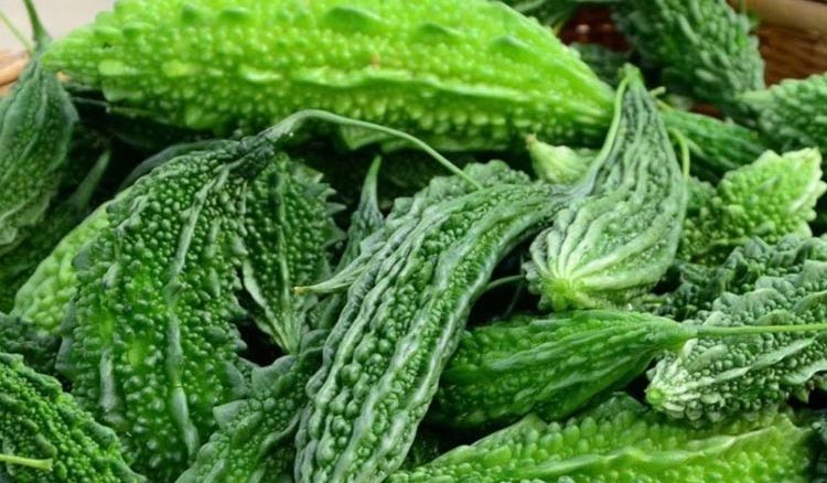 Usefulness of Bitter melon in Diabetes