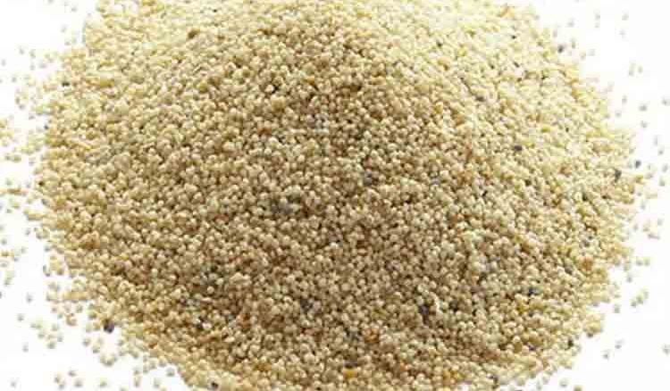 Usefulness of poppy seeds