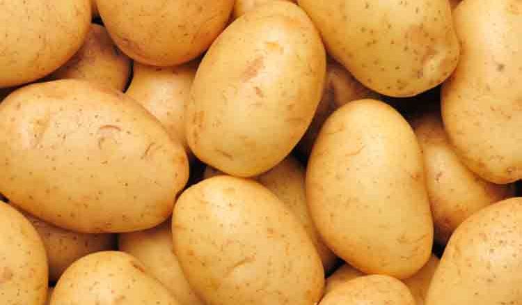 Usefulness of potato in hair care