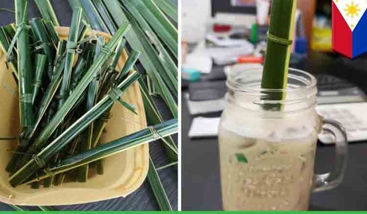 A new type of straw has been discovered in Philippines