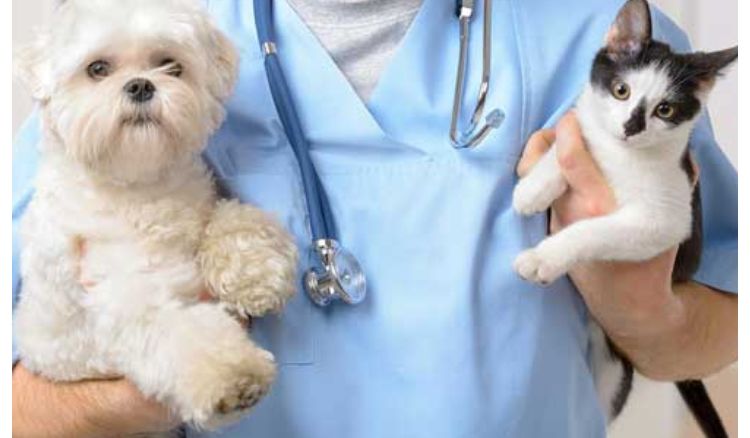 New pet hospital in Salt Lake, Kolkata