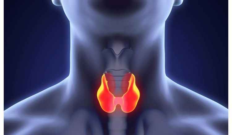 Thyroid and its home remedies