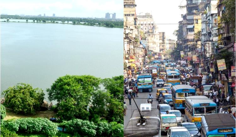 Artificial forest in kolkata to overcome pollution