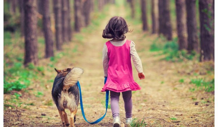 A pet dog has saved a child from drowning