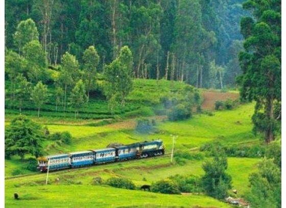 উটিতে আর চলবেনা প্লাস্টিক