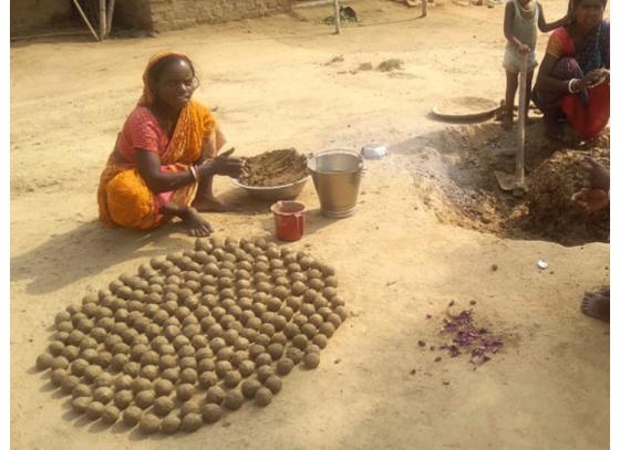 পুরুলিয়ায় এবার 'সীড বল' ছড়িয়ে বনসৃজন