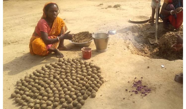 Seed Balls to be used to make forests