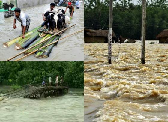 ভারী বর্ষনে জেরবার অসম, উত্তরবঙ্গ