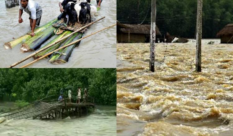 ভারী বর্ষনে জেরবার অসম, উত্তরবঙ্গ