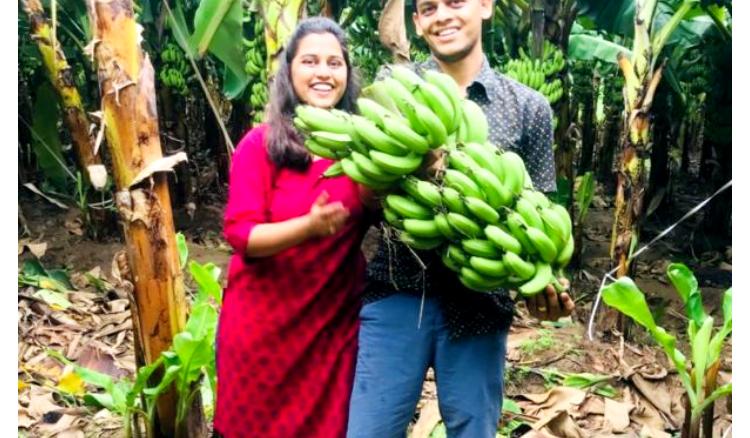 ক্যালিফোর্নিয়ার চাকরি ছেড়ে স্বদেশে 'খাদ্য বন' দম্পতির