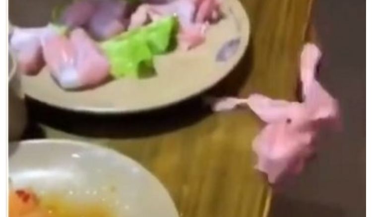 Zombie chicken jumped from plate