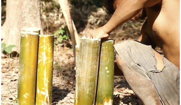 প্লাস্টিক এড়াতে বাঁশের ব্যবহার