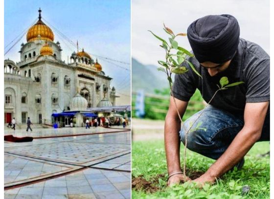 গুরুনানকের জন্মতিথি উদযাপনে নয়া বার্তা, প্রসাদের বদলে 'চারাগাছ' বিতরণ করা হবে গুরুদ্বারে