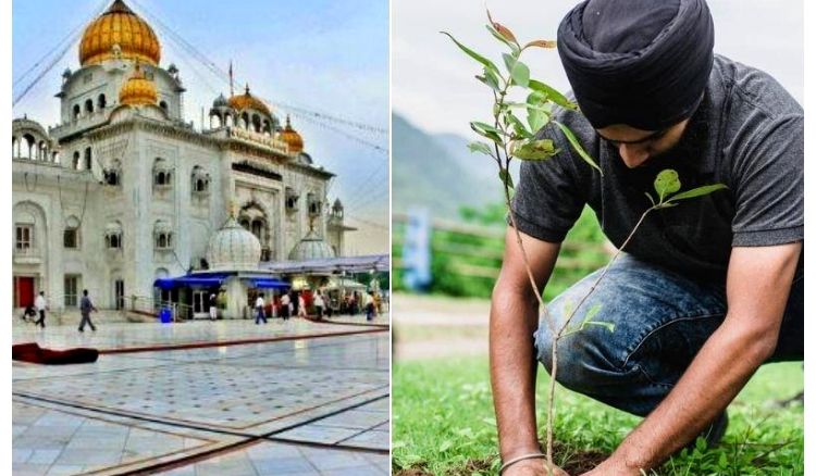 গুরুনানকের জন্মতিথি উদযাপনে নয়া বার্তা, প্রসাদের বদলে 'চারাগাছ' বিতরণ করা হবে গুরুদ্বারে