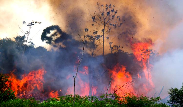 জ্বলছে পৃথিবীর ফুসফুস, রেকর্ড পরিমাণ অগ্নিকান্ডে বিপর্যস্ত পৃথিবীর সর্ববৃহৎ রেইনফরেস্ট আমাজন