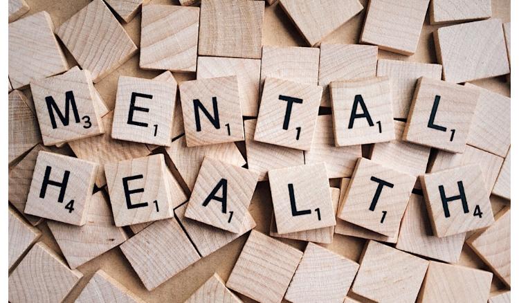 Health department will take initiative for knowing about mental health of general public