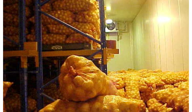 Potato sellers call strike from 1st september