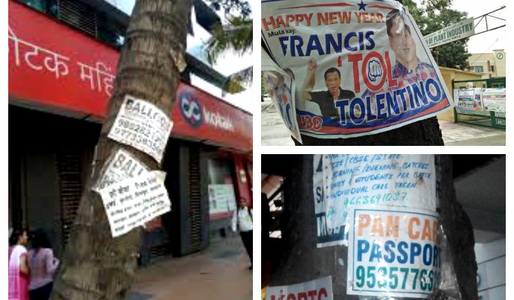 Remove posters on trees or face fine of rs 25,000