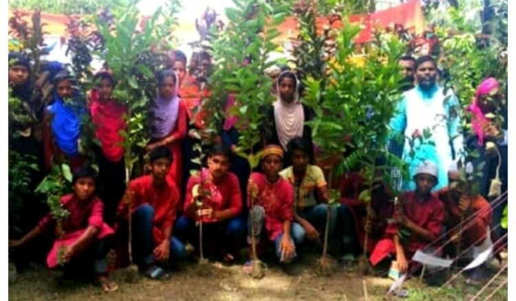 টিফিনের পয়সা বাঁচিয়ে বৃক্ষরোপণে ক্ষুদে পড়ুয়ারা