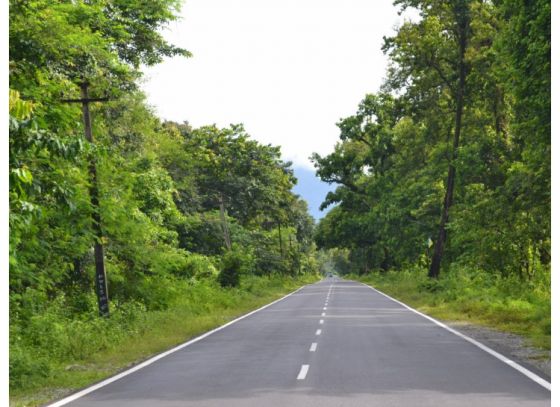 পরিবেশ সচেতনতা বিষয়ে সাইকেল যাত্রা