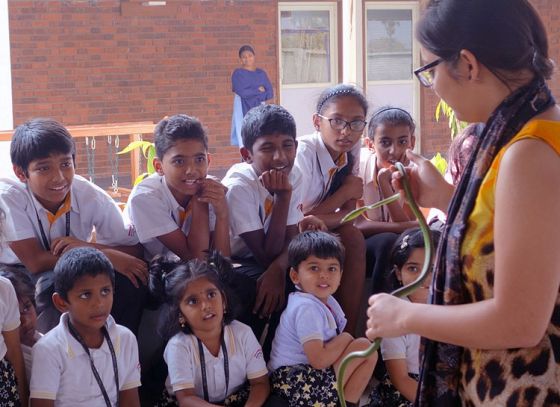 Snake awareness in secondary curriculum