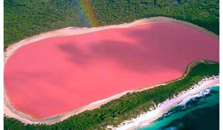 Bubble-gum Lake become famous tourists’ spot