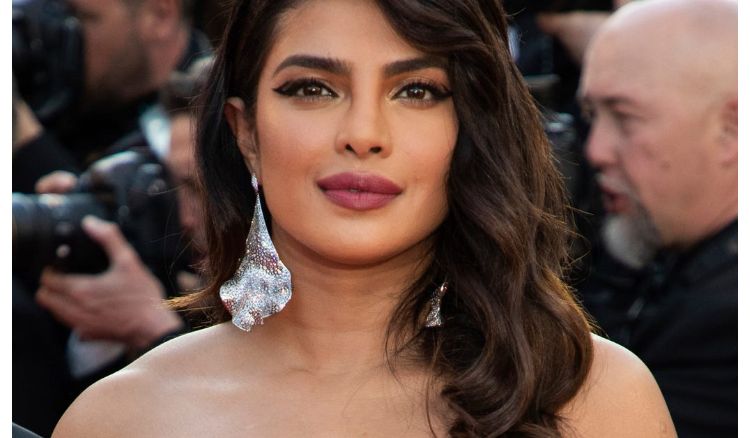 Priyanka  Chopra will be act in next Avengars Director Venture