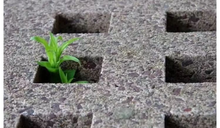 Scientists Create Living Concrete