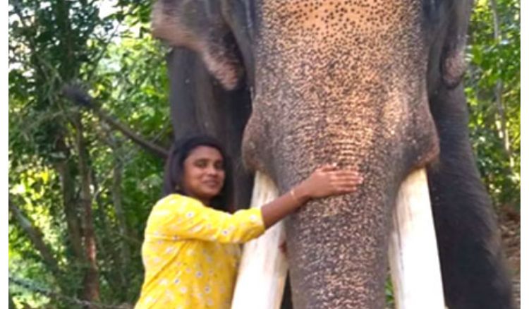 Kerala first Muslim woman to be elephant keeper at Hindu temple