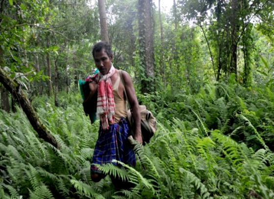 ‘কমনওয়েলথ পয়েন্ট অফ লাইট’ সম্মানে ভূষিত যাদব পায়েং