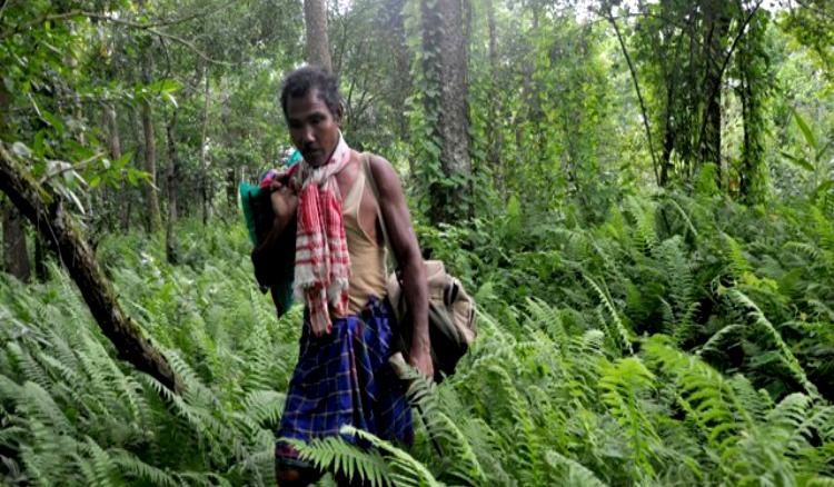 ‘কমনওয়েলথ পয়েন্ট অফ লাইট’ সম্মানে ভূষিত যাদব পায়েং