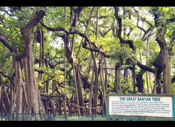 নিজের শরীর থেকে নামিয়েছেন একের পর এক ঝুরি